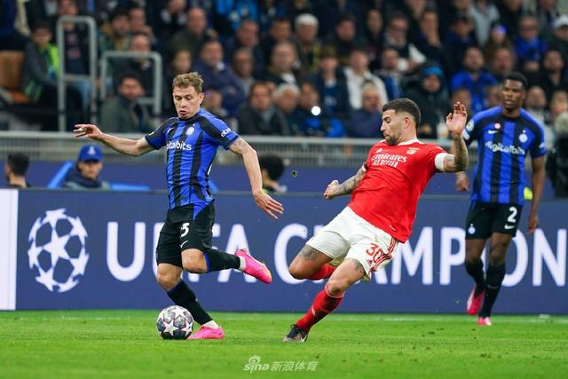 取得了显著 取得了显著